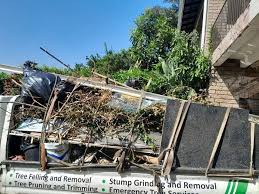 Best Residential Junk Removal  in Hawthorn Woods, IL